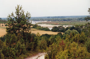 Widok na Wisłę w Męćmierzu