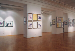 Widok wystawy Cava di pietre, cranio, Galeria Studio, Warszawa 2006